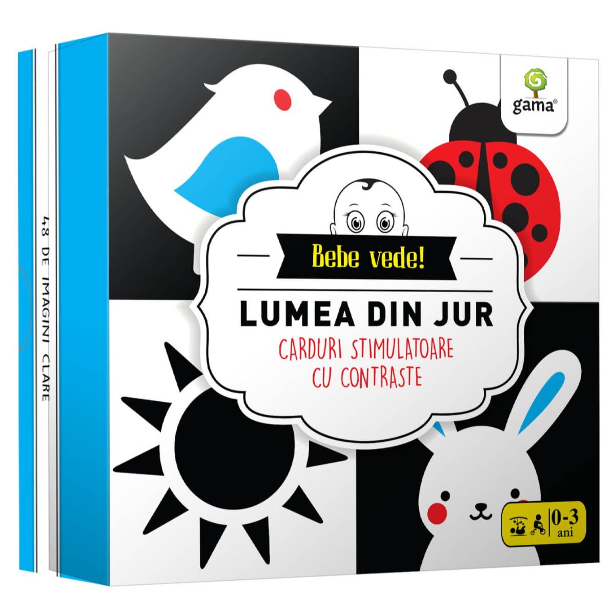 Lumea din jur, Bebe vede