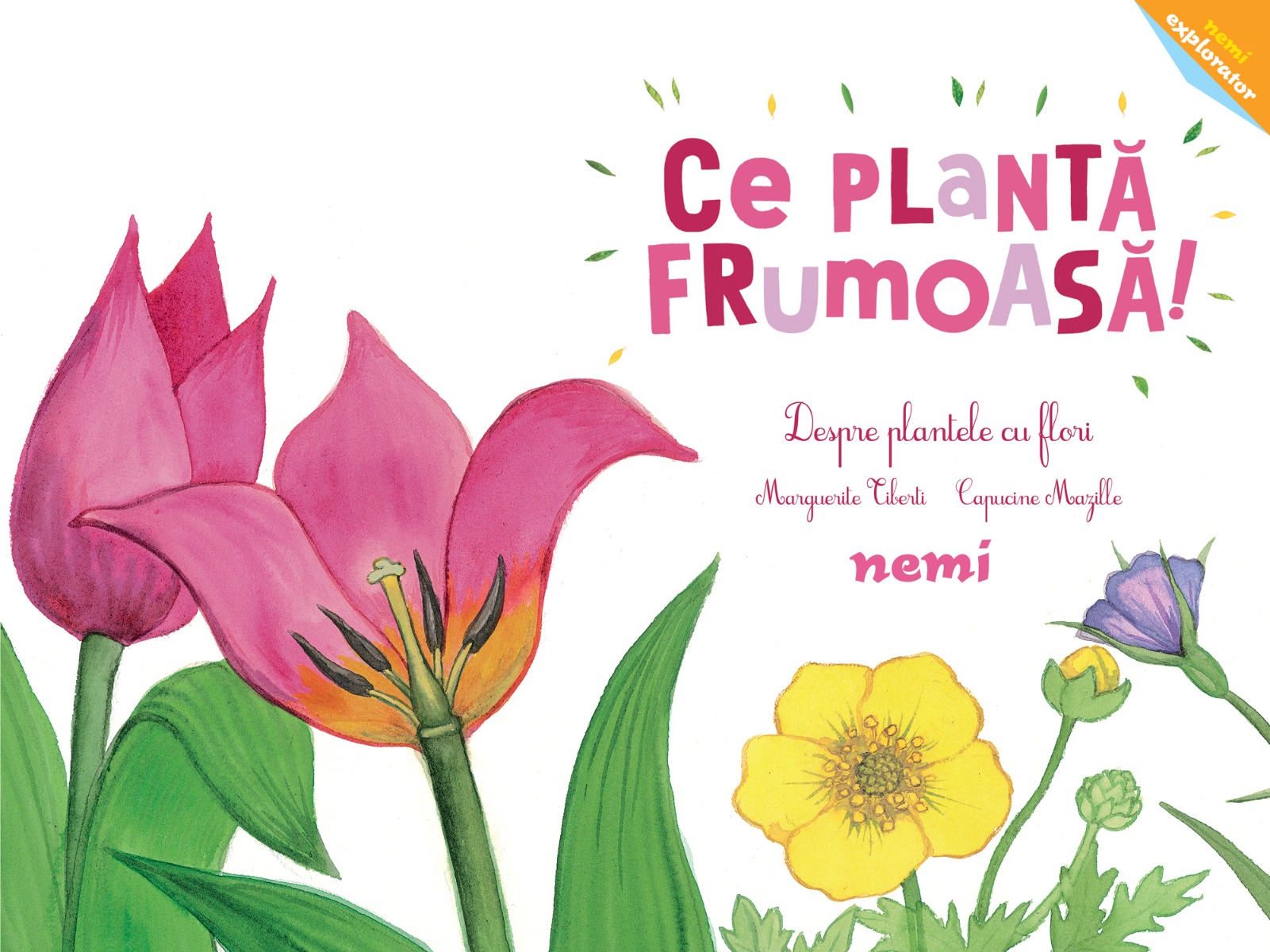 Ce planta frumoasa! Despre plantele cu flori. Capucine Mazille, Marguerite Tiberti