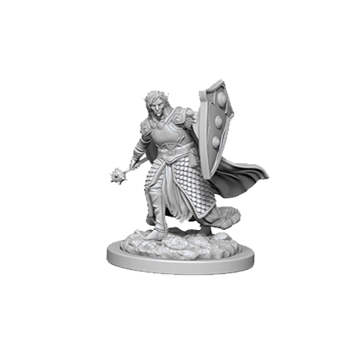 D&D Nolzur's Marvelous Unpainted Miniatures: Elf Male Cleric