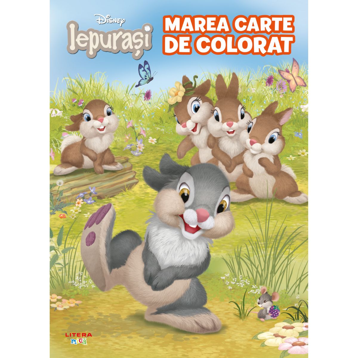 Disney Iepurasi, Marea carte de colorat
