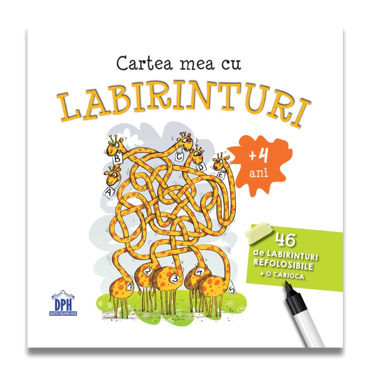 Cartea mea cu labirinturi, 46 de labirinturi refolosibile si o carioca