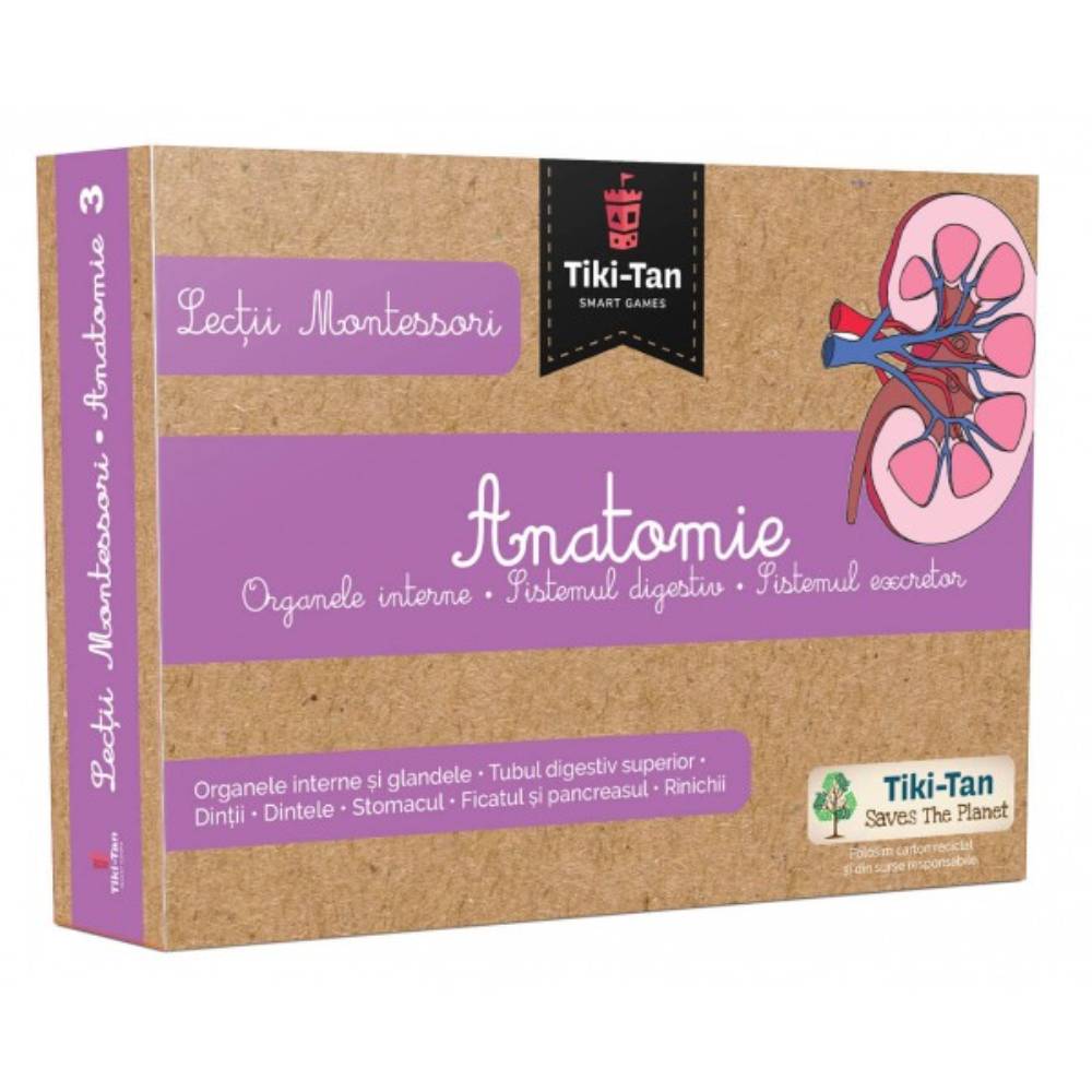 Lectii Montessori. Lectii de anatomie: Organe interne. Sistemul digestiv