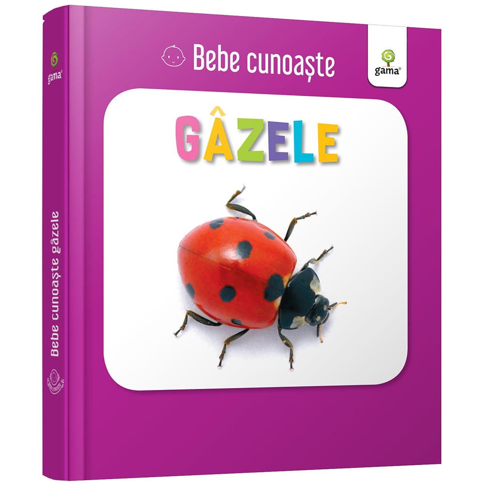 Bebe cunoaste Gazele