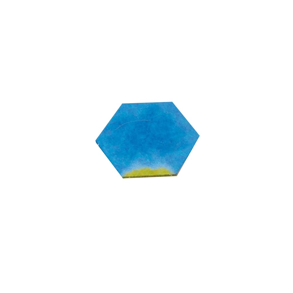 Landscape Counters Hexagonal - imagine 6
