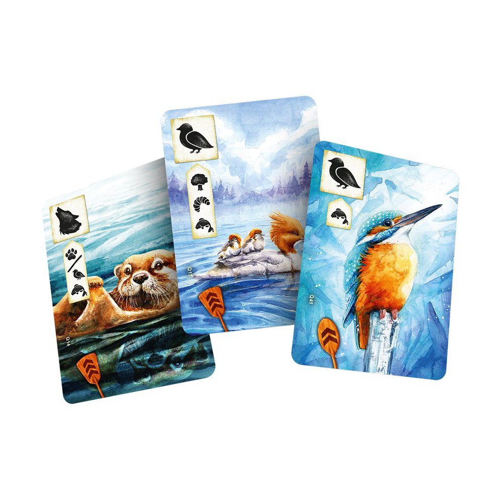 Meadow - Downstream - imagine 3