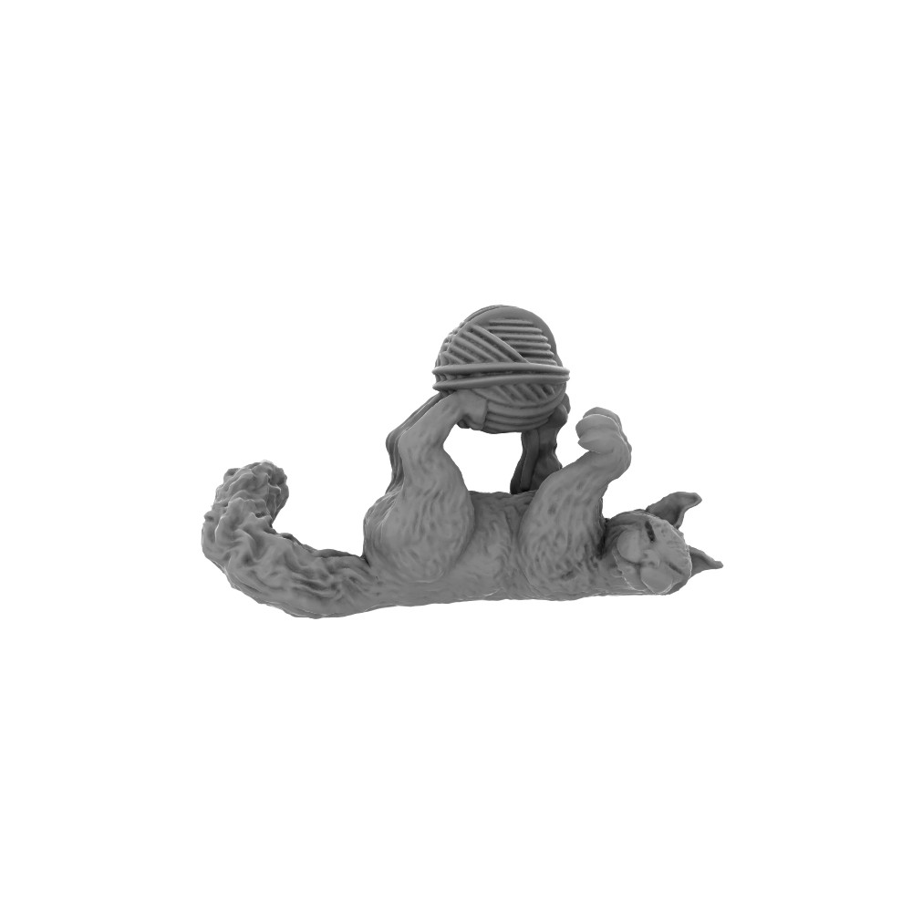 Miniatura Nepictata Cat Playing