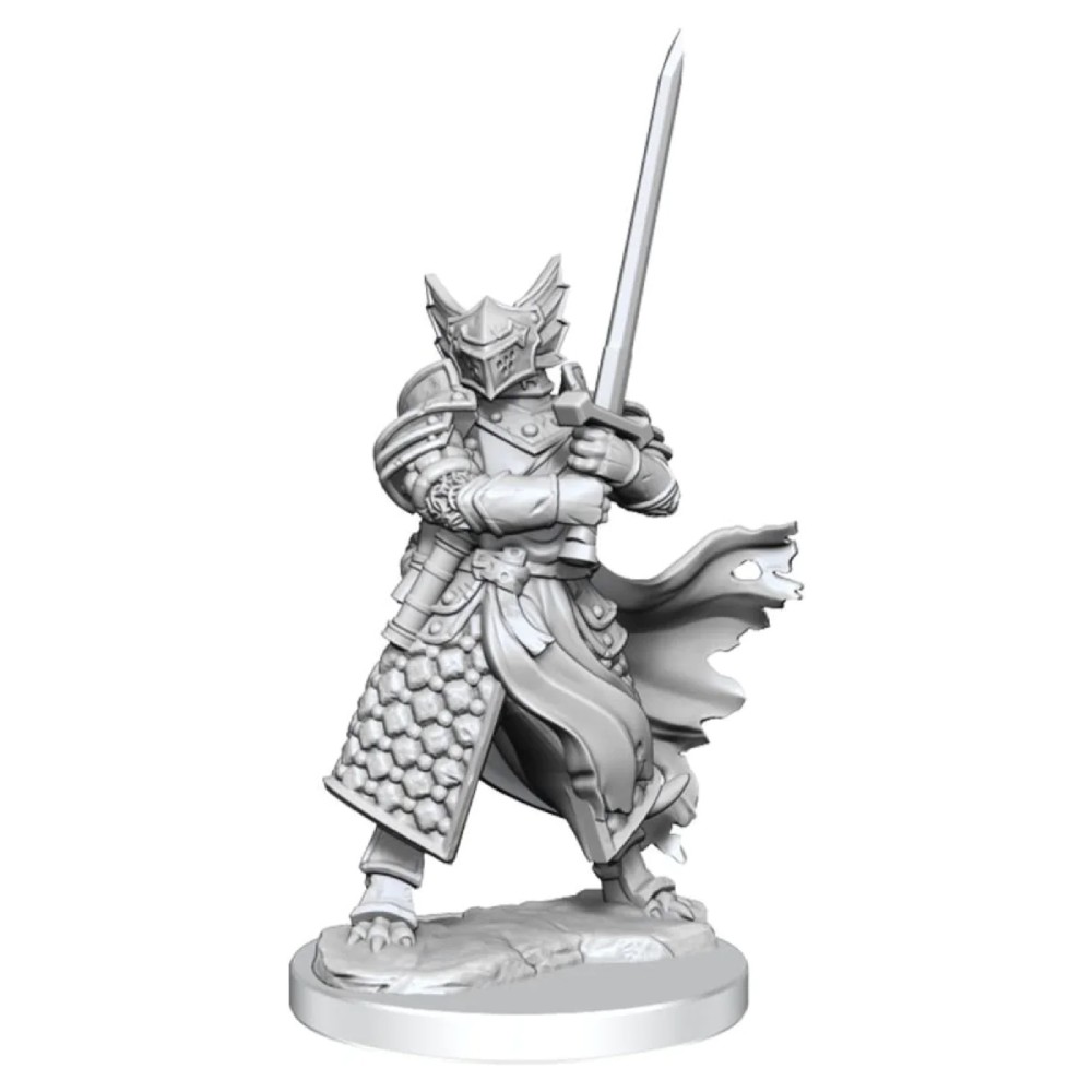 Miniatura Nepictata D&D Frameworks Dragonborn Paladin Male (W1)