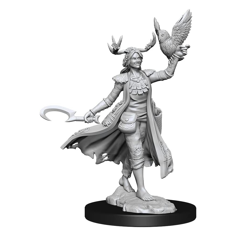 Miniatura Nepictata D&D Frameworks Human Druid Female - imagine 2