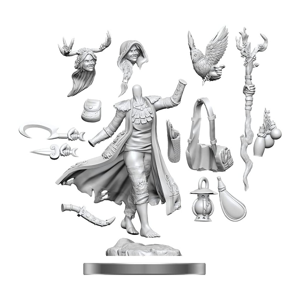 Miniatura Nepictata D&D Frameworks Human Druid Female - imagine 3