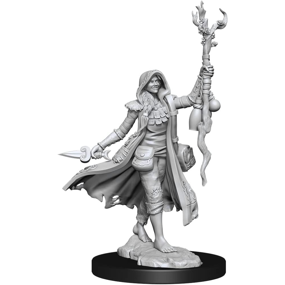 Miniatura Nepictata D&D Frameworks Human Druid Female