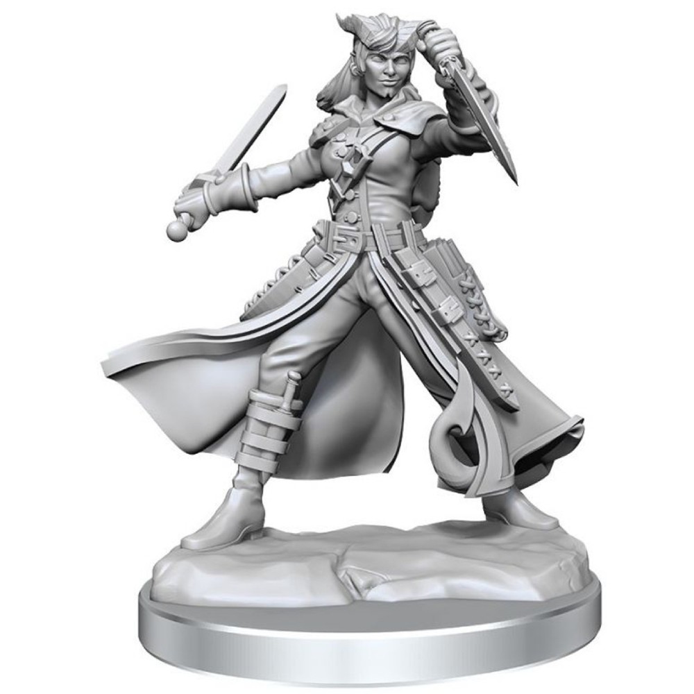 Miniatura Nepictata D&D Frameworks Tiefling Rogue Female