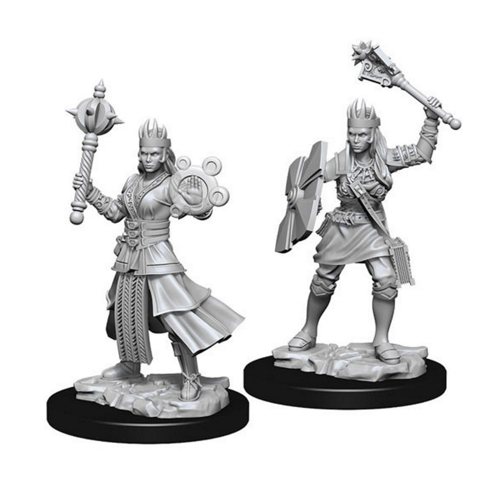 Miniaturi Nepictate D&D Female Human Cleric
