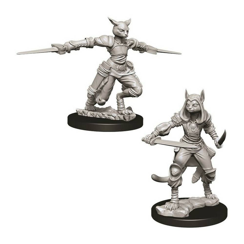 Miniaturi Nepictate D&D Female Tabaxi Rogue
