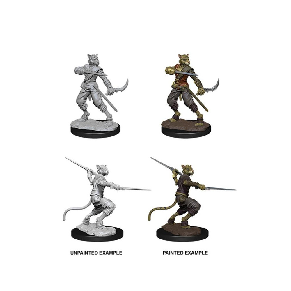 Miniaturi Nepictate D&D Male Tabaxi Rogue - imagine 2