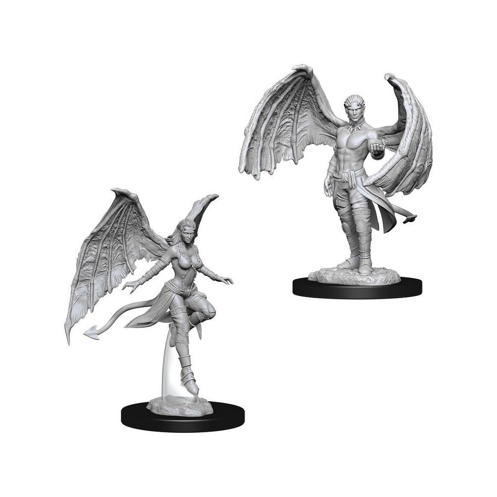 Miniaturi Nepictate D&D Nolzur's Marvelous Succubus & Incubus