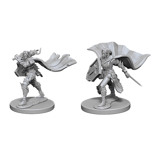 Pathfinder Unpainted Miniatures: Elf Female Paladin