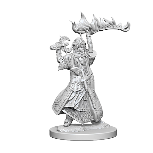 Pathfinder Unpainted Miniatures: Human Female Cleric