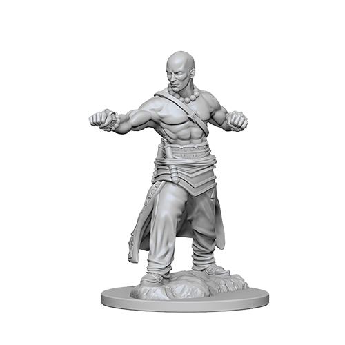 Pathfinder Unpainted Miniatures: Human Male Monk
