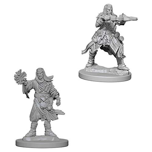 Pathfinder Unpainted Miniatures: Male Human Wizard